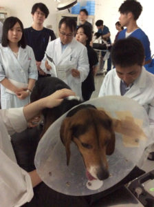 画像:麻門会2019年5月26日 02